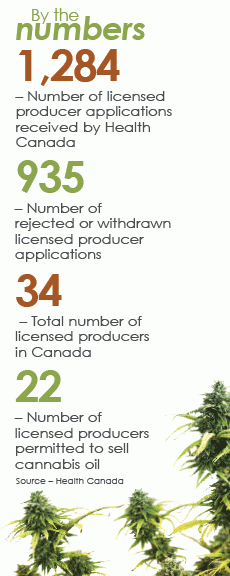 Canada's marijuana industry by the numbers. (Graphic: Canadian Lawyer)